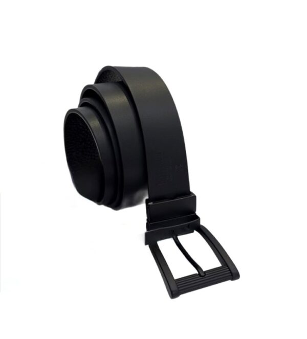 Cintura just cavalli