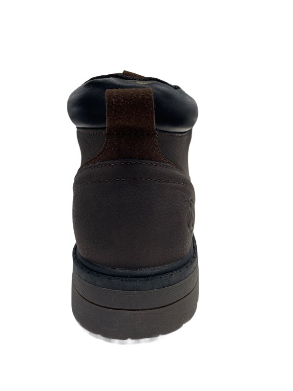 Anfibio solo soprani