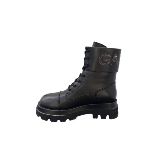 Anfibio gaelle paris