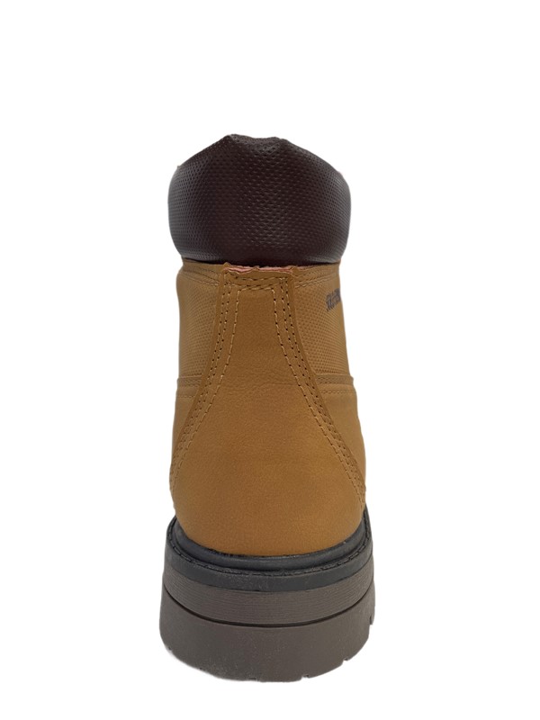 Anfibio solo soprani